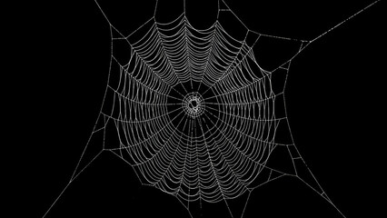 Spiderweb's Delicate Symmetry: An Intricate Design Against the Dark Backdrop  Perfect for