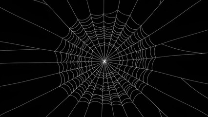 Intricate spiderweb design in white against a black background for spooky art