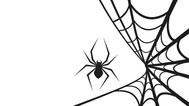 Elegant Halloween: Minimalist spider and spiderweb vector on white background