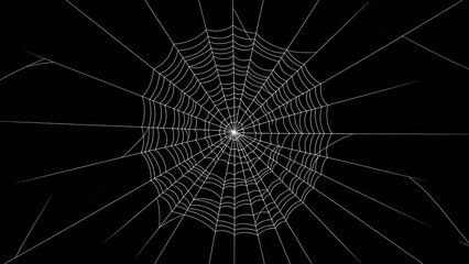 Obraz premium Spiderweb Symmetry: Intricate Web Design on Stark Black Backdrop Captures Nature's Art