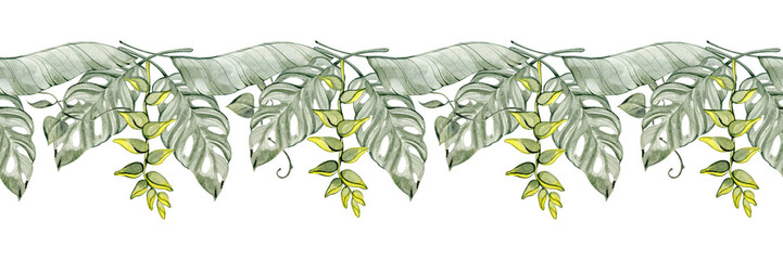 Watercolor tropical border with layered monstera, calathea, and delicate yellow-green sprigs. Suitable for packaging, branding, textile patterns, invitations, and decorative botanical designs. © Natali_Mias