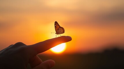 Butterfly Resting on Finger Tip Against Golden Sunset Sky. Butterfly resting finger tip hand touch freedom inspiration nature concept hope serenity golden sunset sunrise silhouette sky background