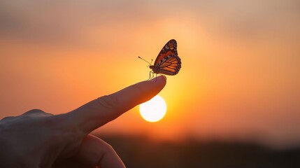 Butterfly Resting on Finger Tip Against Golden Sunset Sky. Butterfly resting finger tip hand touch freedom inspiration nature concept hope serenity golden sunset sunrise silhouette sky background