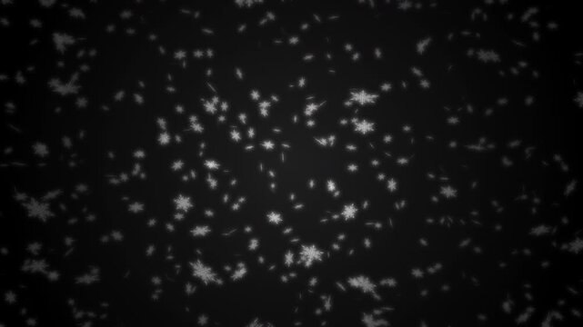 White snowflakes being lit up and falling down on black gradient background. Abstract background for Merry Christmas, Happy Holidays, Season's greetings, Happy Valentine's day and wedding ceremony.