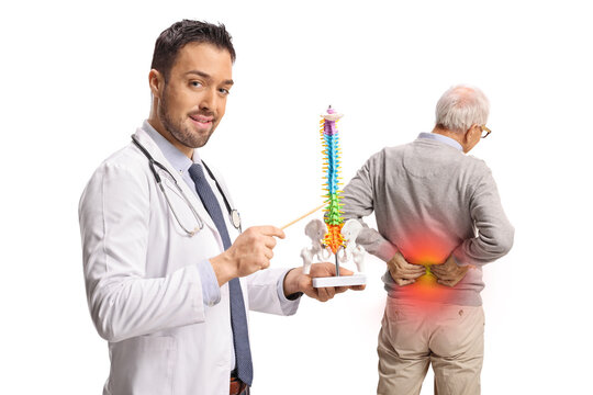 Doctor explaining back pain to a senior patient using a spine model - Powered by Adobe