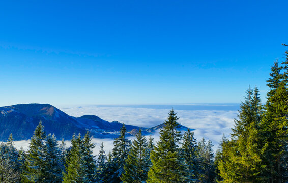 Nadelb&auml;ume Nadelwald vor Blick auf Wolkendecke &Uuml;ber den Wolken Kampenwand Bayern