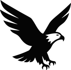 Soaring eagle in flight