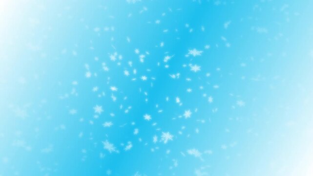 White snowflakes being lit up and falling down light blue gradient background. Abstract background for Merry Christmas, Happy Holidays, Season's greetings, Happy Valentine's day and wedding ceremony.