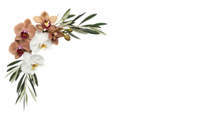 Elegant minimal floral corner element featuring orchids and olive branches in neutral earth tones isolated on white background