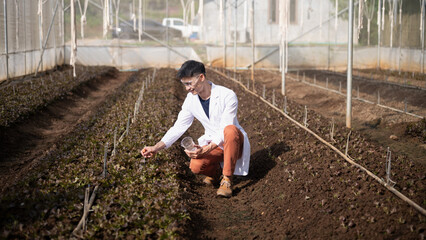 Agronomist checking soil quality in greenhouse