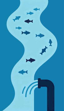 Fish swim in a winding river, with water flowing from a dark pipe