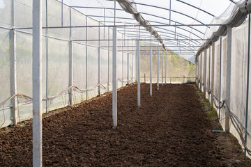 Fototapeta premium Greenhouse soil preparation