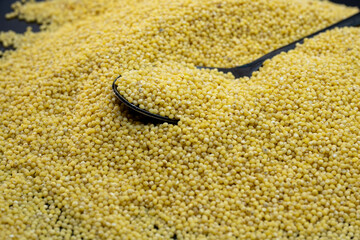 a large pile of raw yellow millet grains with a black spoon partially submerged in the center, highlighting the texture of the seeds.