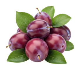 Fresh plums harvesting organic farm fruit nature isolated on transparent background
