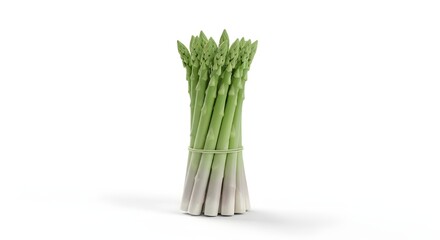 Fresh green asparagus bundle tied with paper wrap on white background