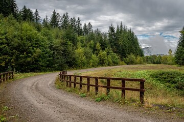 Forest road in the Bieszczady Mountains.