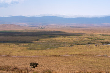 Obraz premium above ngorongoro savanna and mountains on horizon in tanzania