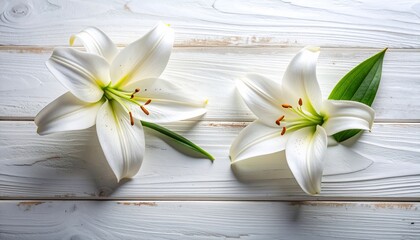 Two elegant white lilies with green leaves rest on a distressed, bright wooden surface