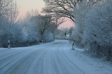 Small curved snow-covered country road with trees on the side early in the morning