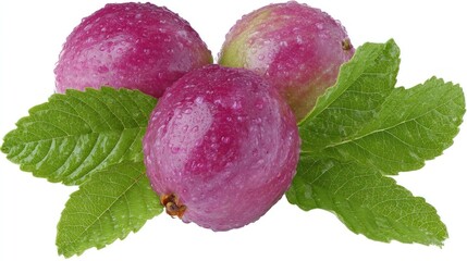 Lush plums with dew glistening in the morning light on green leaves