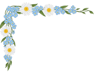 Soft blue forget me not and white daisy corner border illustration isolated on white background
