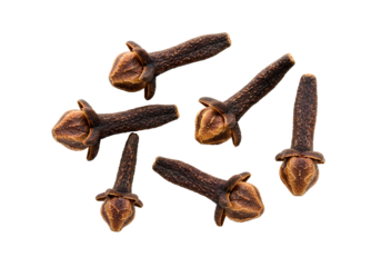 Dried clove spice buds collection with aromatic textured surface isolated on transparent background for culinary and food design