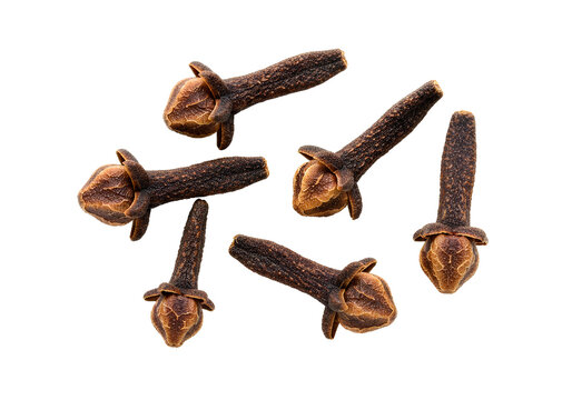 Dried clove spice buds collection with aromatic textured surface isolated on transparent background for culinary and food design