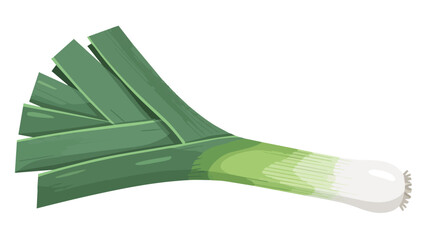Vibrant green and white leek illustration showcasing fresh culinary vegetable garden produce healthy ingredient for cooking delicious meals from