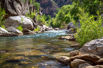 Tranquil natural river flowing through a rocky canyon surrounded by lush green foliage and sunlit cliffs on a bright summer day