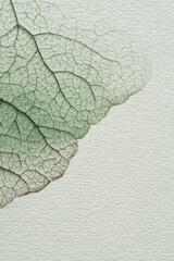 Obraz premium Leaf Vein Texture: Revealing the intricate network of veins within a leaf, the image offers a captivating glimpse into the delicate structure of nature.