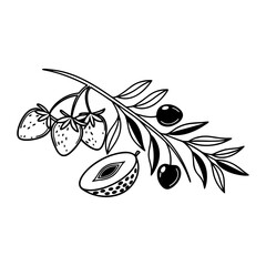 Minimalist black and white botanical seamless pattern with mixed fruits and berries in ink brush style