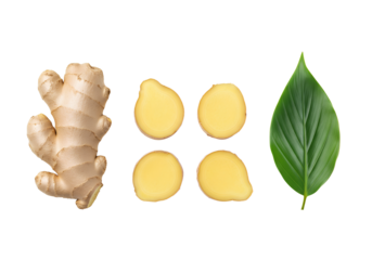 Fresh ginger root with sliced pieces and green leaf isolated, realistic herbal ingredient illustration for natural medicine and cooking