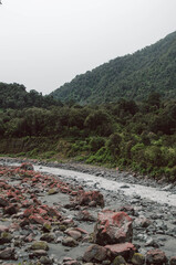 Rocky Stream and Forested Hillside in Fox Glacier Valley, New Zealand