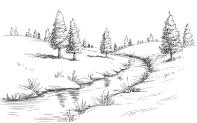 Black and white linear illustration of a winding stream in a scenic evergreen woodland environment © MSTMASUMA