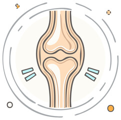 Human knee joint illustration displaying normal joint structure and anatomy on a light background