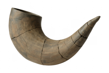 Cracked brown horn ancient isolated on a transparent background