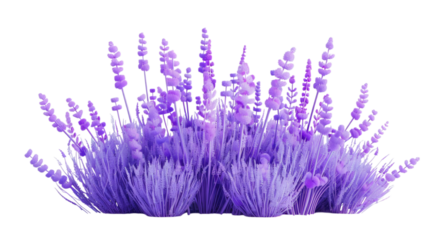Lavender 3D render icon isolated on white background