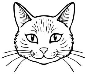Obraz premium Head of a feline, illustration, pet animal, black and white vector illustration, drawing of a cat face, cat outline