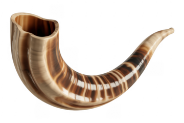 Polished brown horn shiny isolated on a transparent background