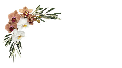 Elegant minimal floral corner element featuring orchids and olive branches in neutral earth tones isolated on white background