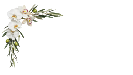Elegant minimal floral corner element featuring orchids and olive branches in neutral earth tones isolated on white background