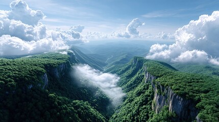 Mountain valley with green forest and clouds