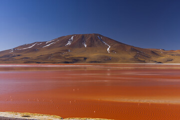 View of Laguna Colorada, Bolivia
