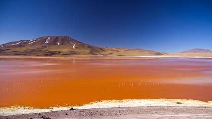 View of Laguna Colorada, Bolivia