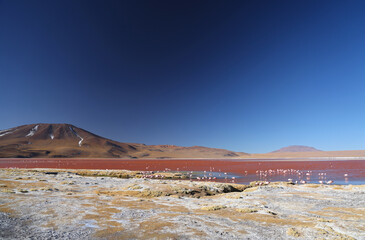 View of Laguna Colorada, Bolivia