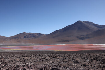View of Laguna Colorada, Bolivia
