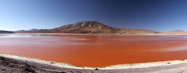 View of Laguna Colorada, Bolivia