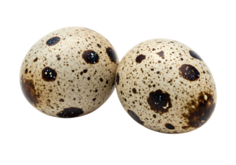 Two quail eggs with natural speckled shells isolated on transparent background for food, farming, and culinary design