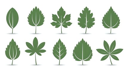 Green leaf collection with various shapes and botanical designs isolated on white background for nature graphics and eco-friendly projects.