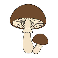 Brown wild mushrooms with detailed gills and cream stalks for autumn foraging nature studies and organic food recipe graphics